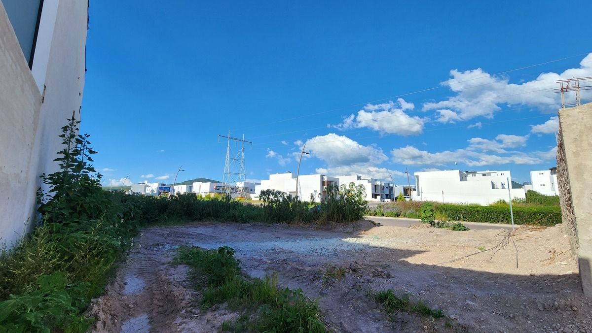 5 de 16: Fondo del terreno