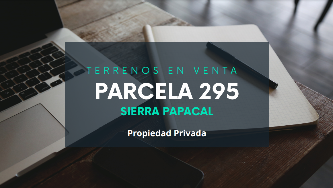 3 de 12