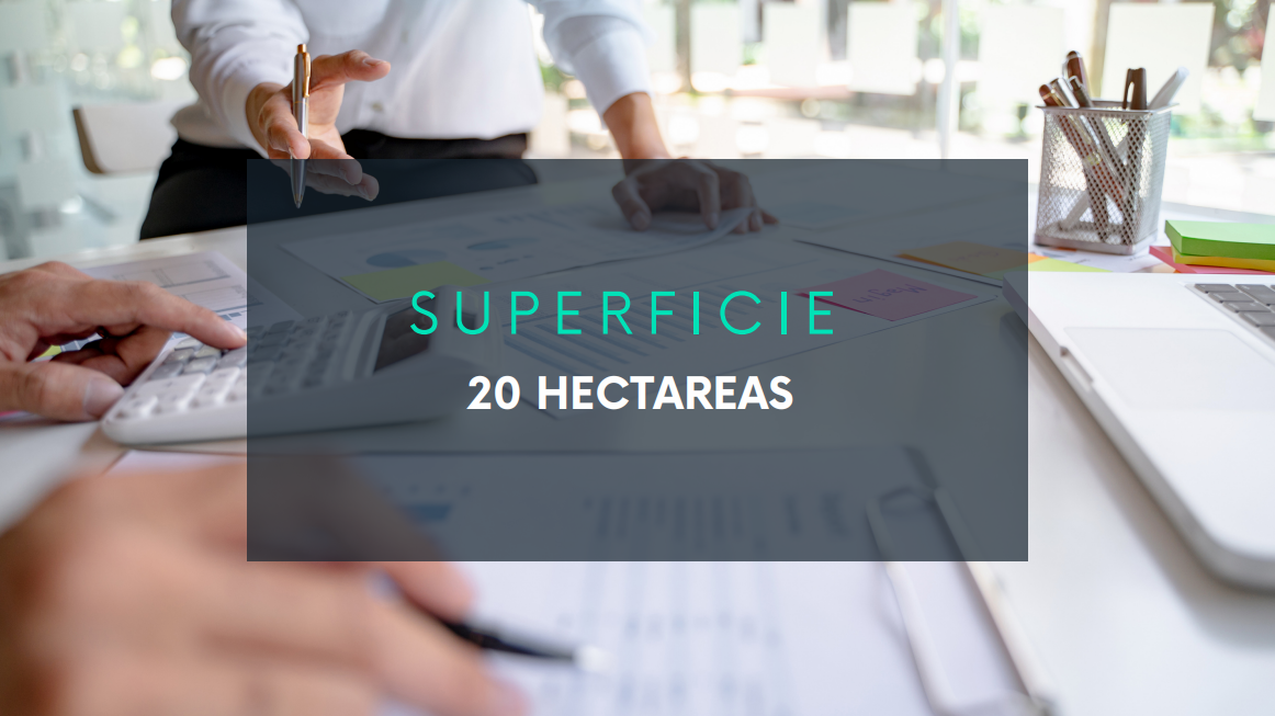 4 de 12