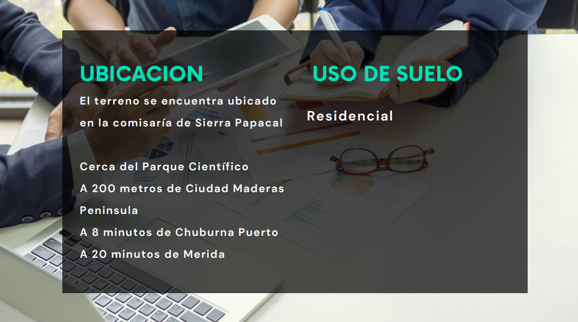 5 de 12