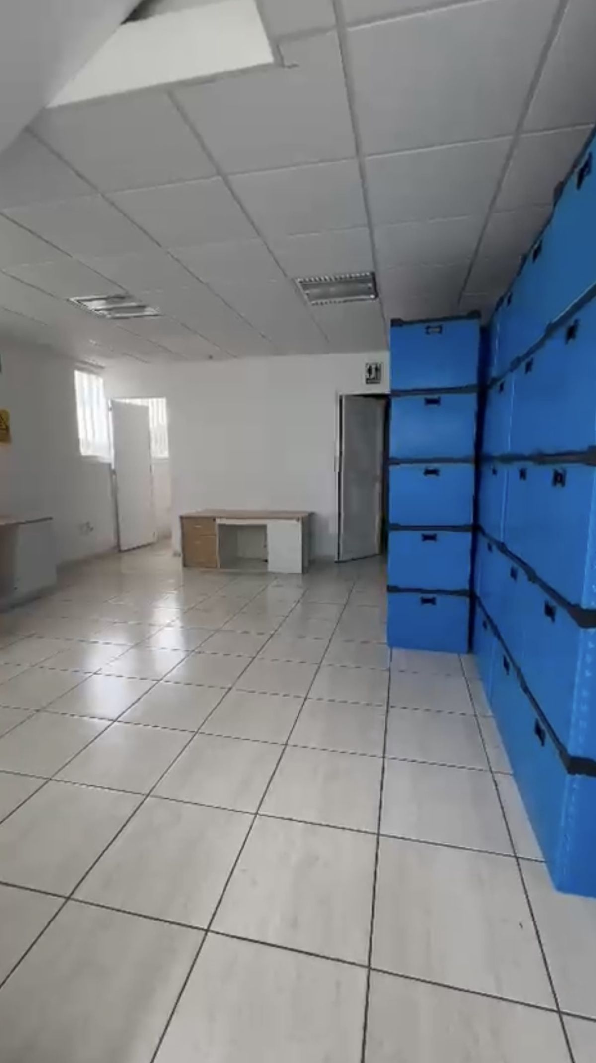 6 de 11