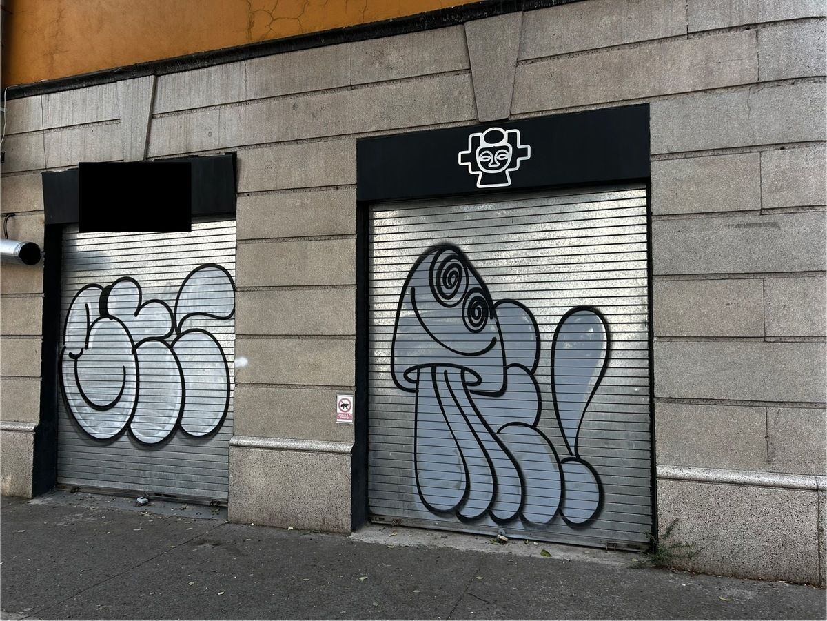 14 de 16