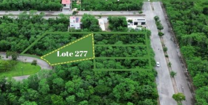 1 of 15: lote 277