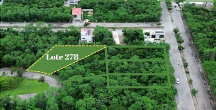 2 of 15: lote 278