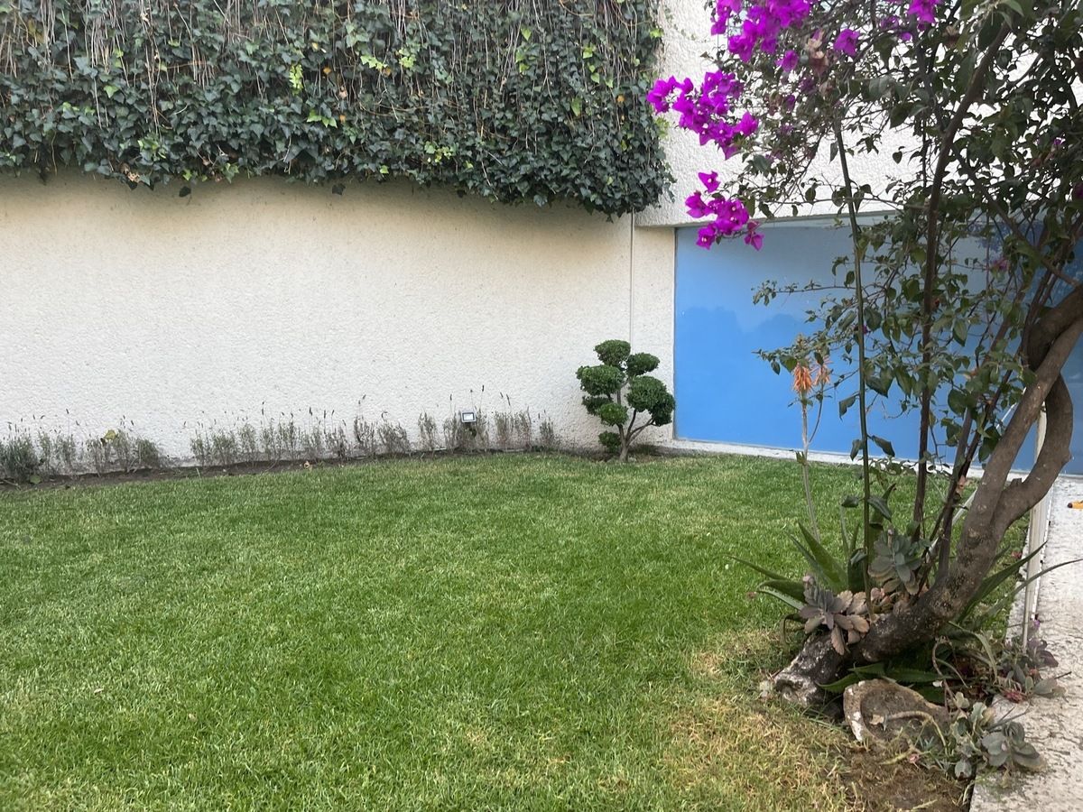 1 of 14: Jardín trasero