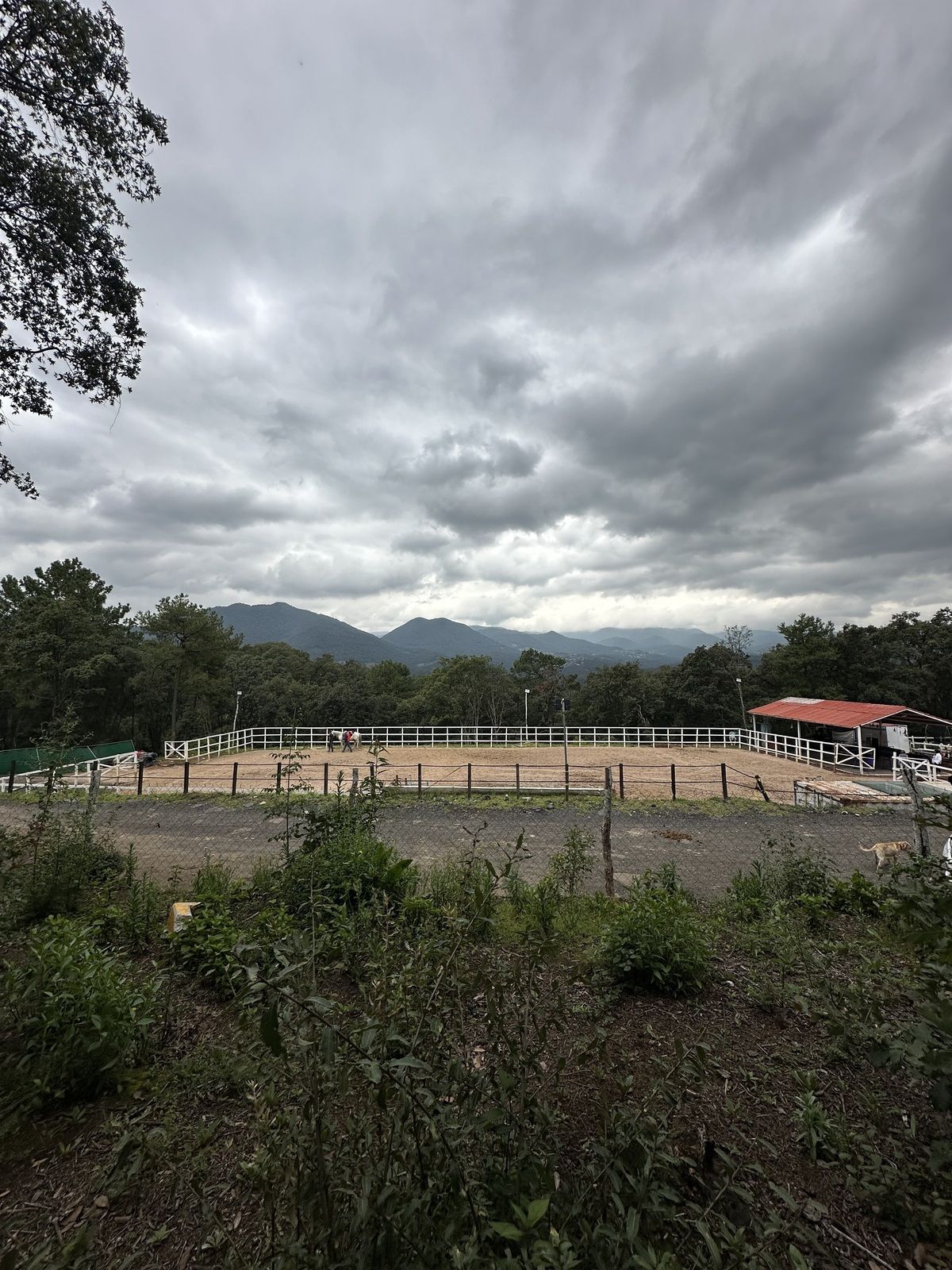 1 de 24