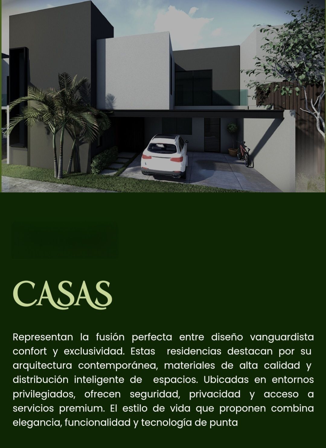 5 de 15