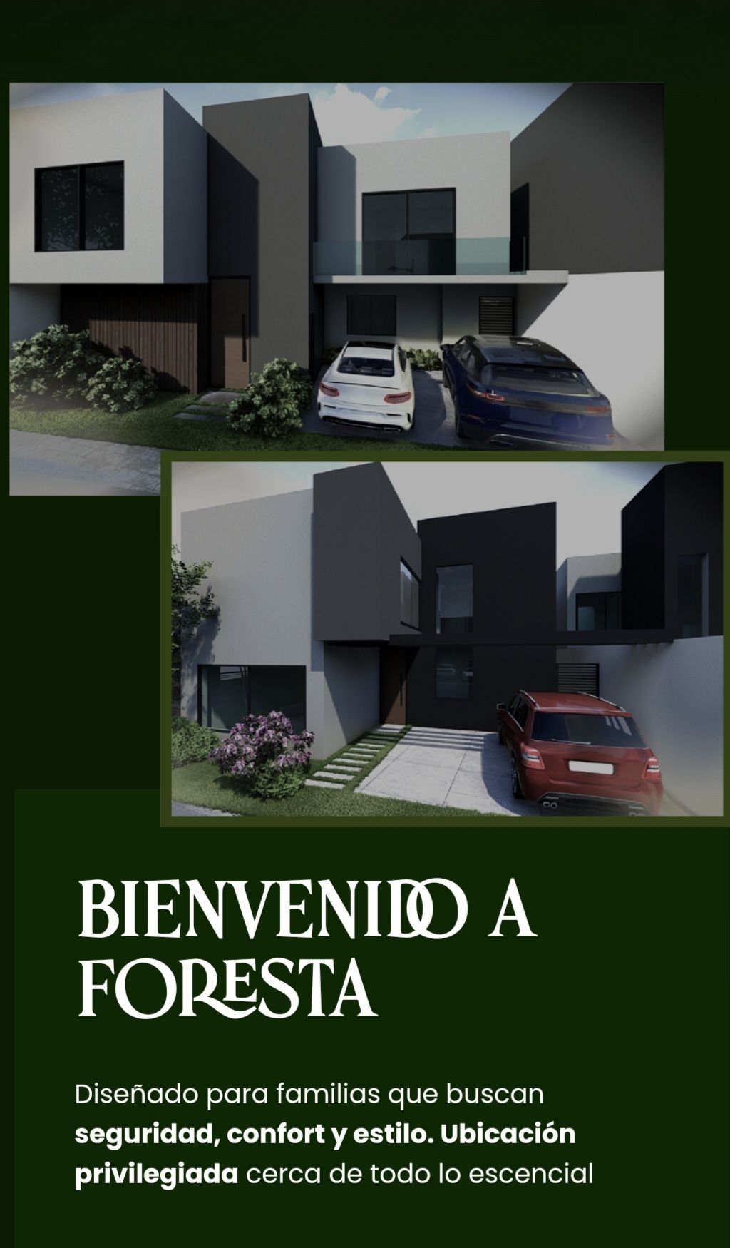 8 de 15