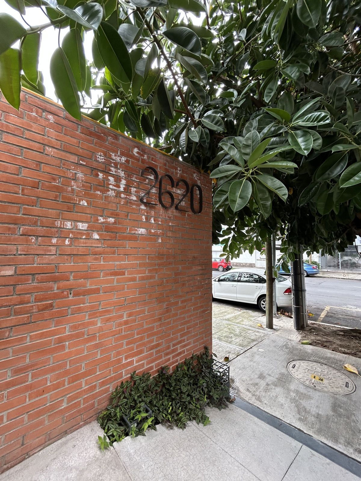 5 de 26