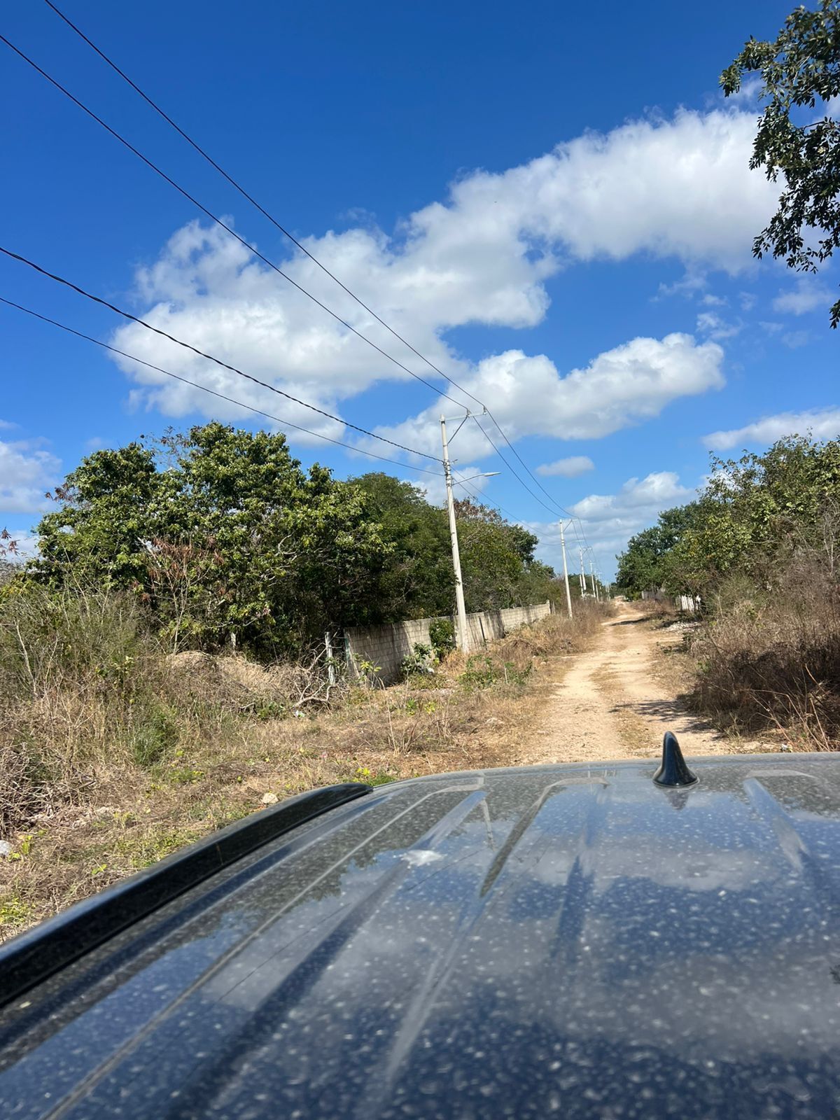 7 de 10
