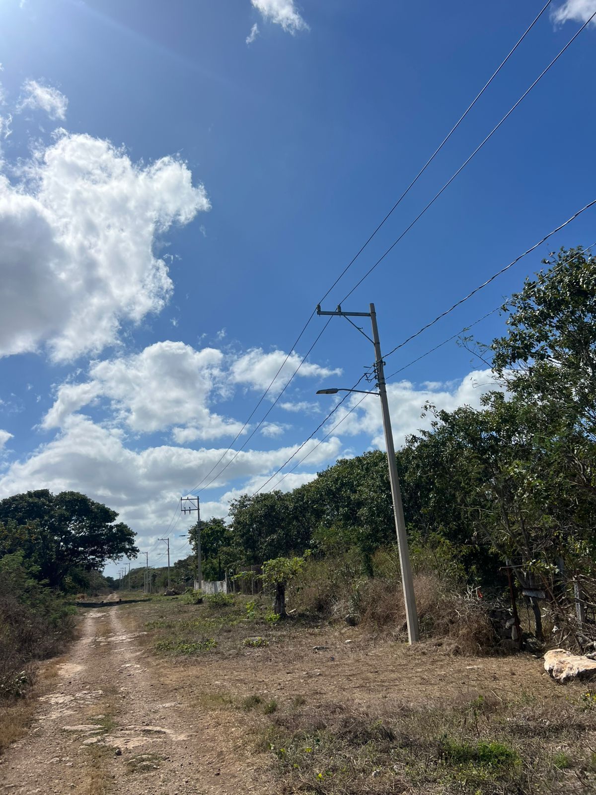 9 de 10