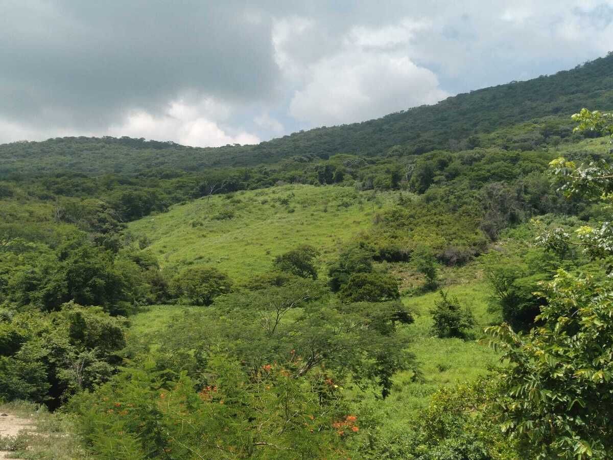 11 de 14