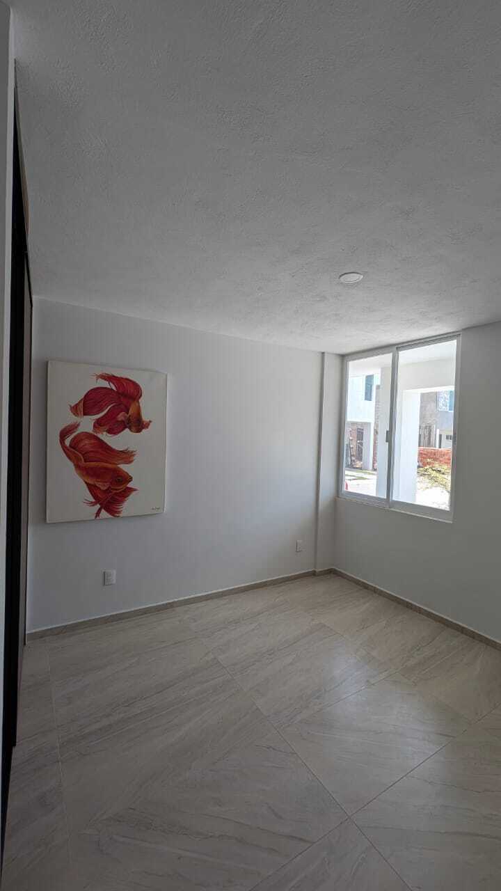 25 of 25
