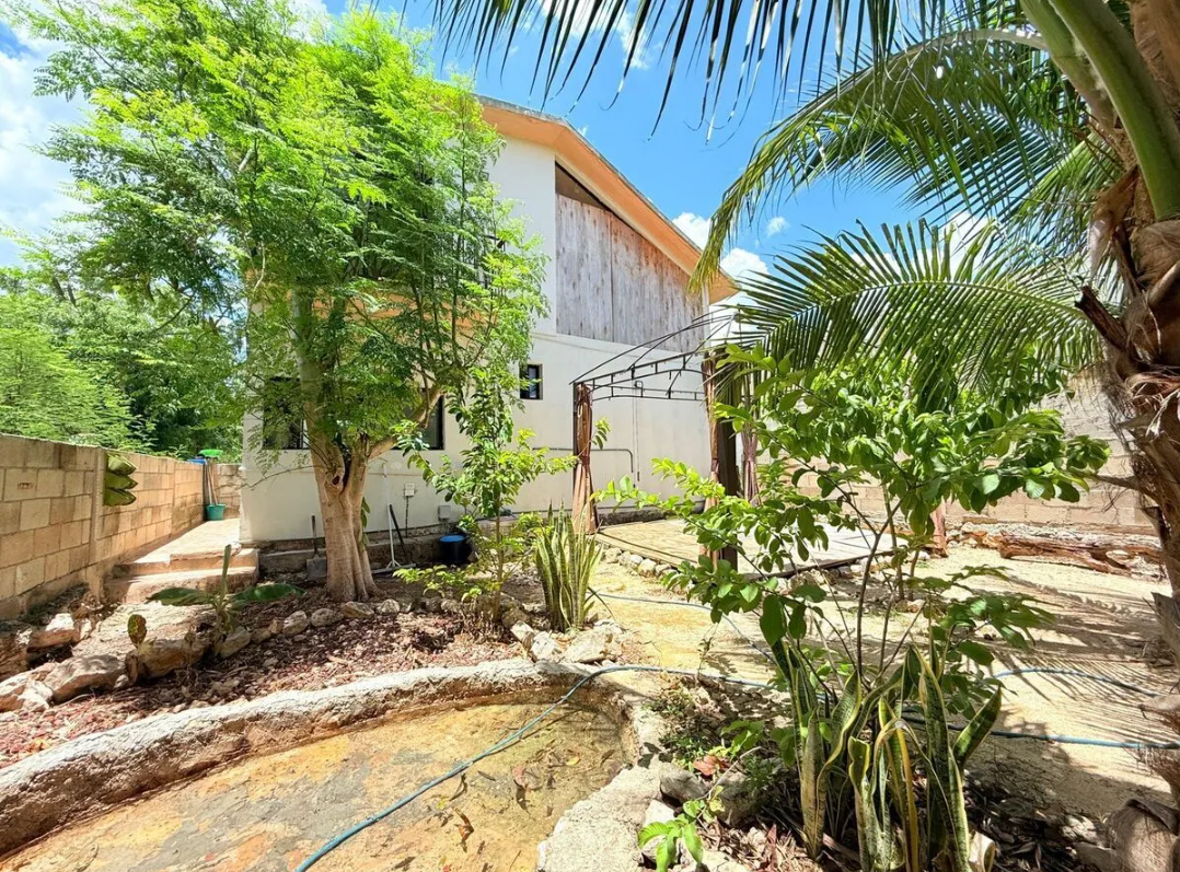 11 de 16