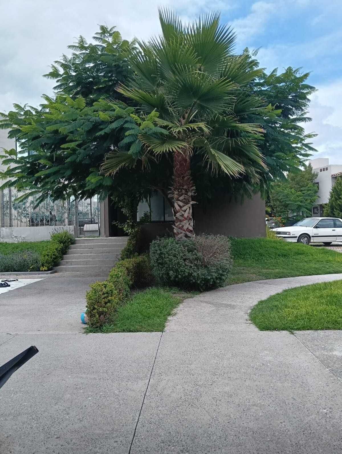 2 of 49