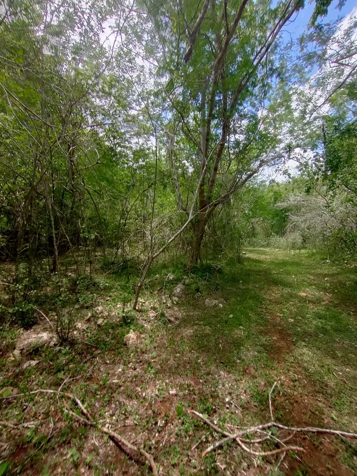 5 de 6