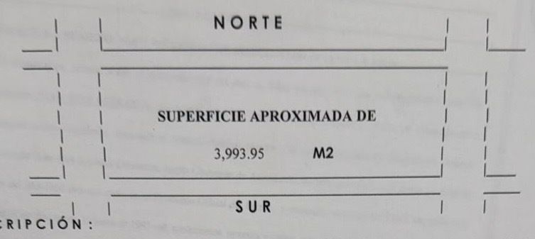 3 de 15