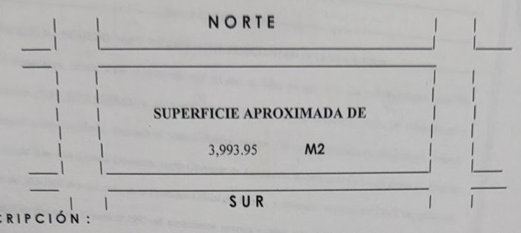 3 de 13