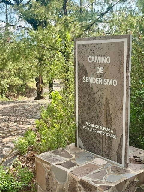 4 de 13