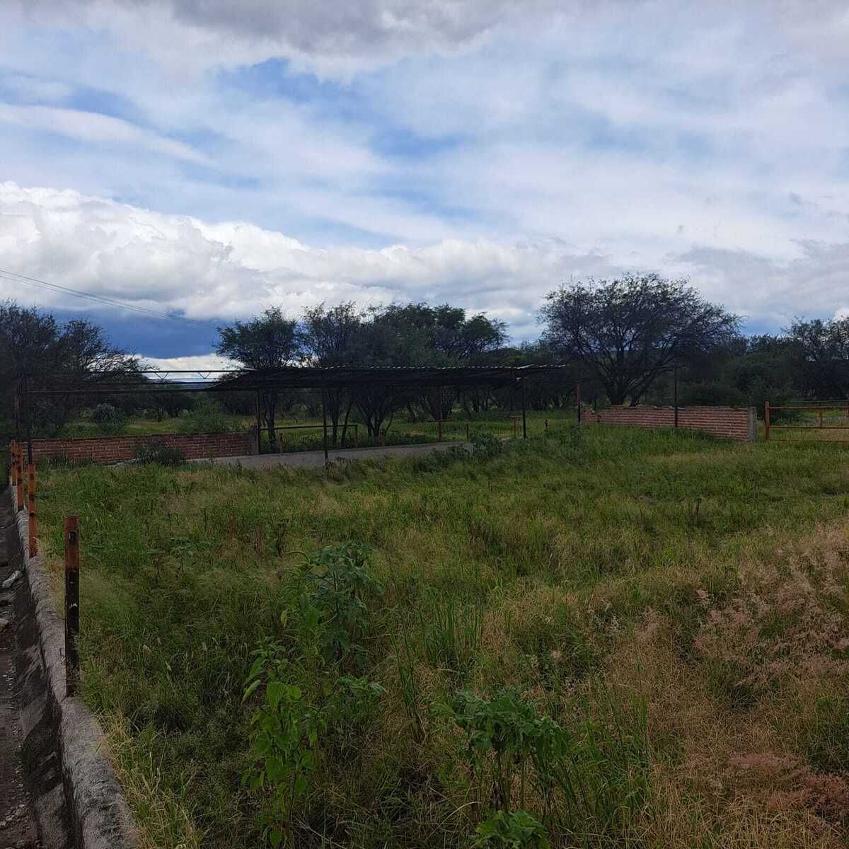 3 de 21