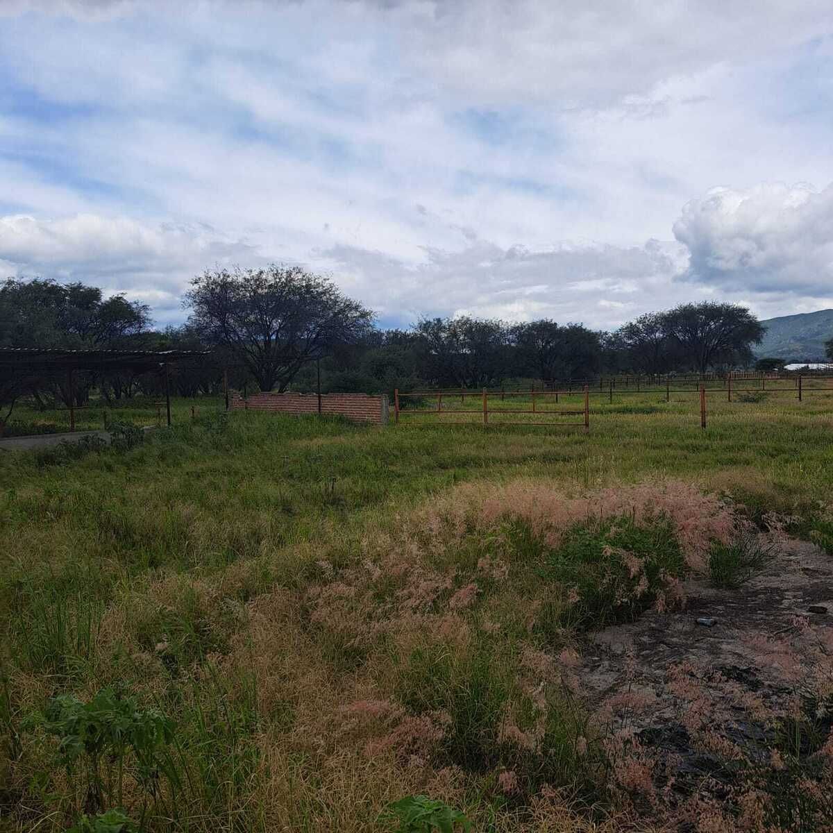 4 de 21