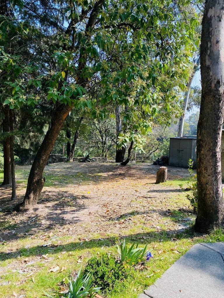 3 de 13