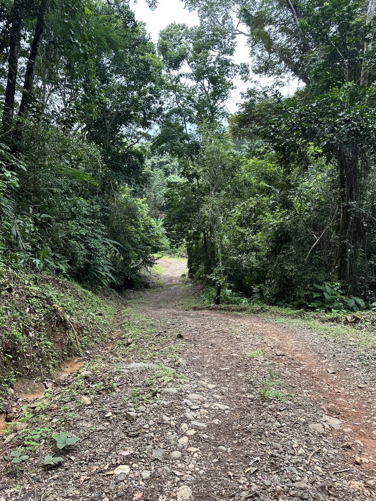 5 de 22