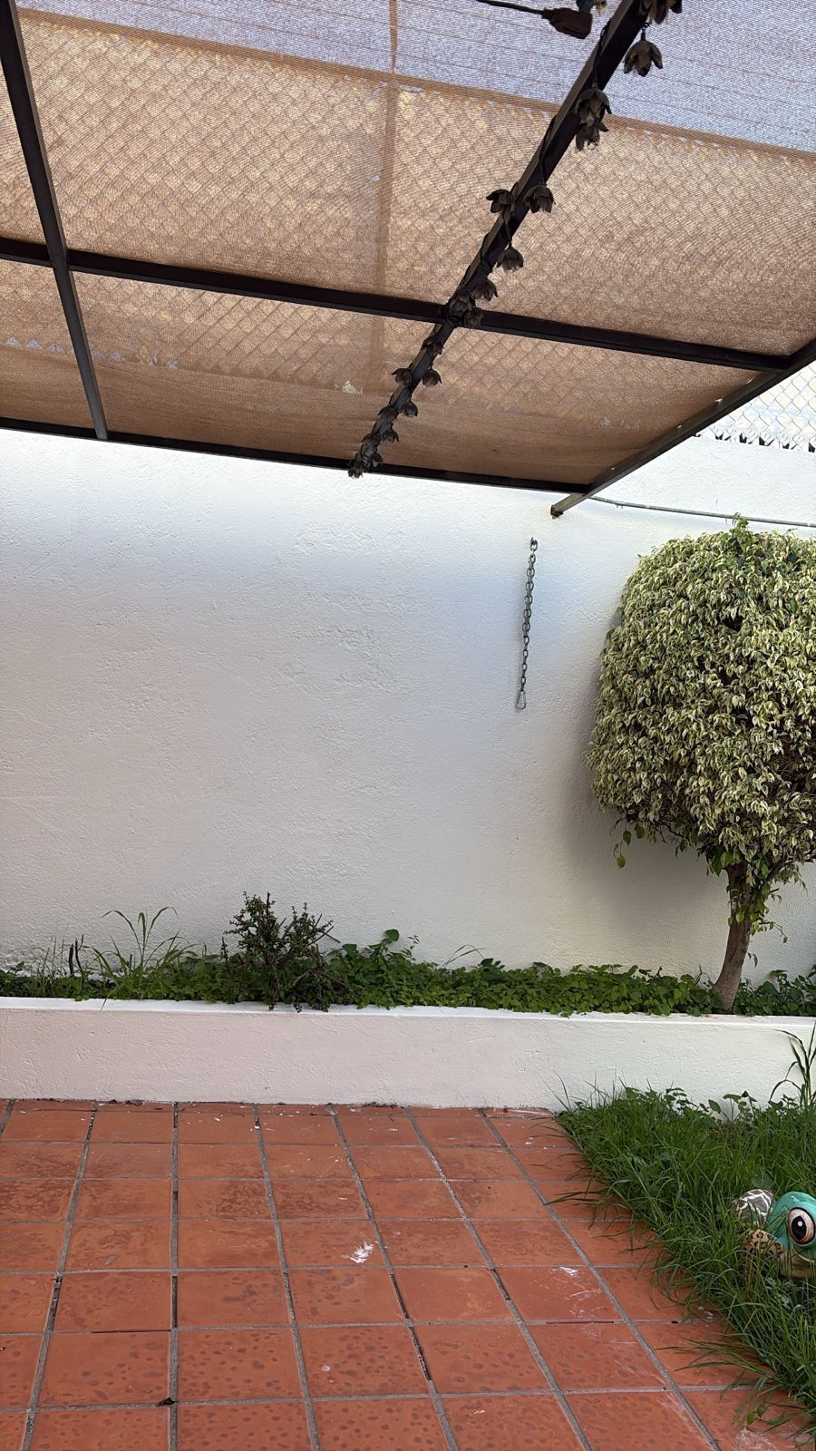 10 de 17
