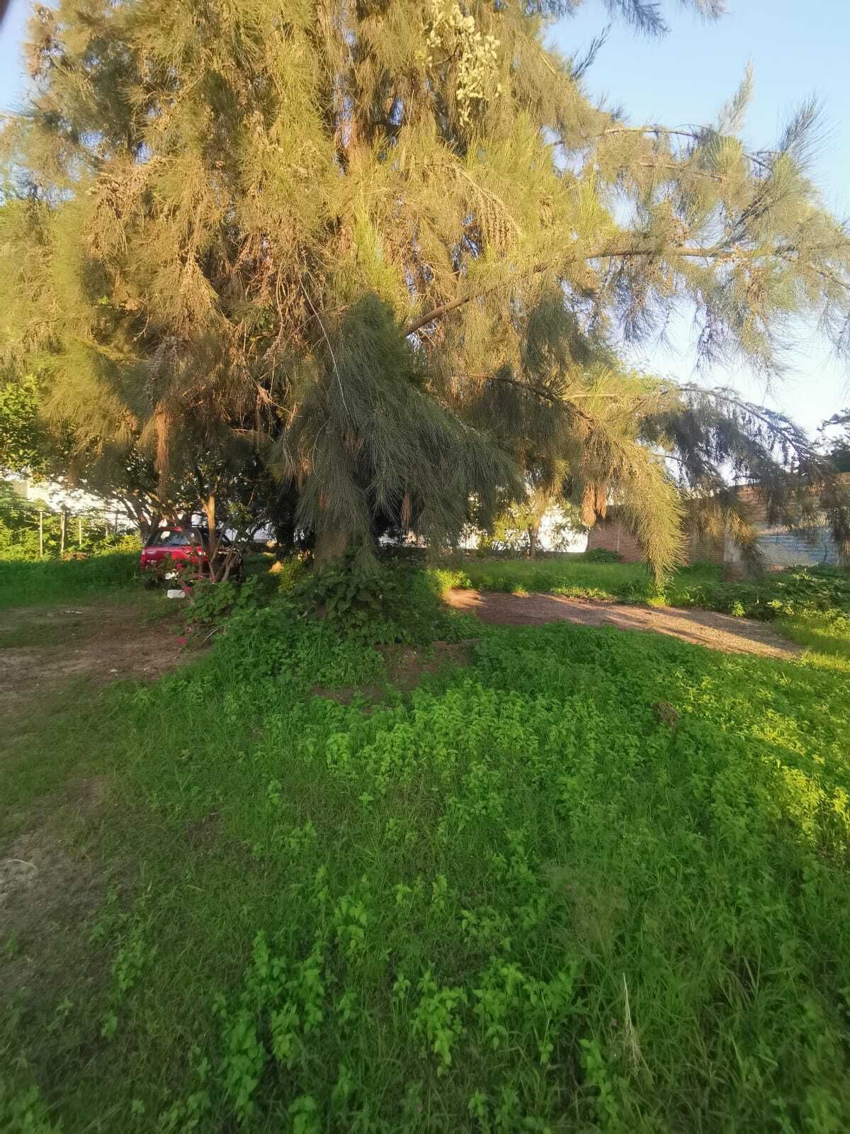 3 de 19