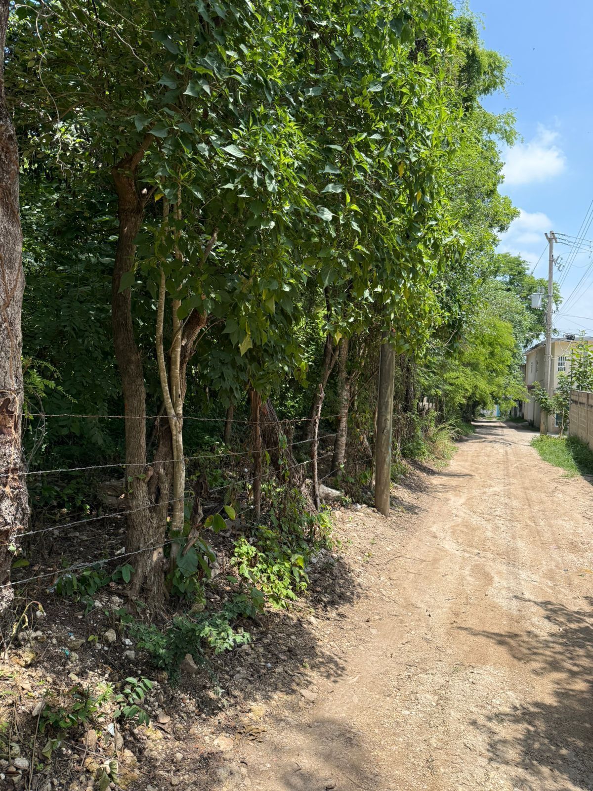 Terreno en Lomas del Sauce, Tuxtla Gutiérrez, foto 4 de 7