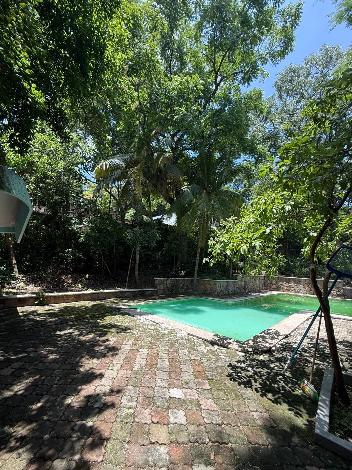 2 de 11