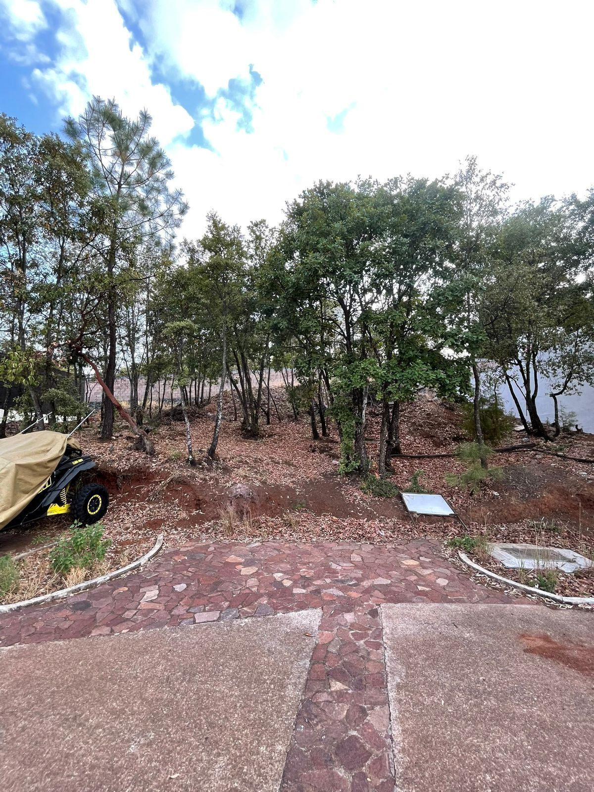 2 de 2