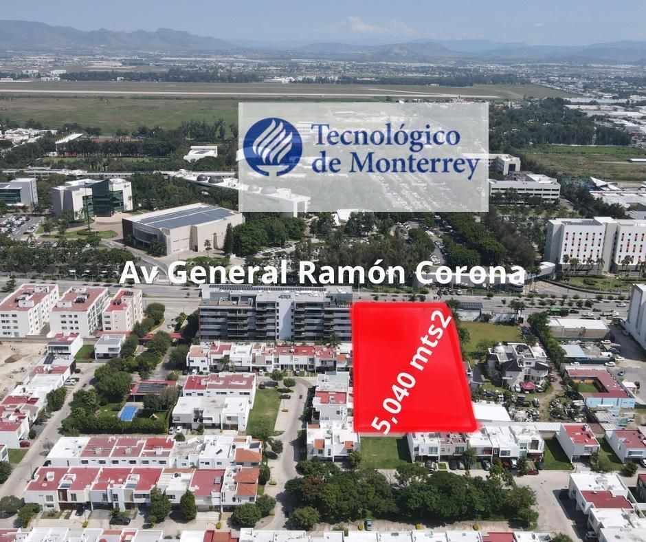 5 de 14
