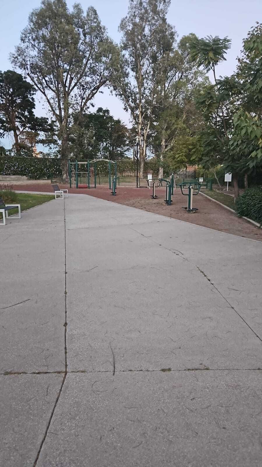 2 de 24