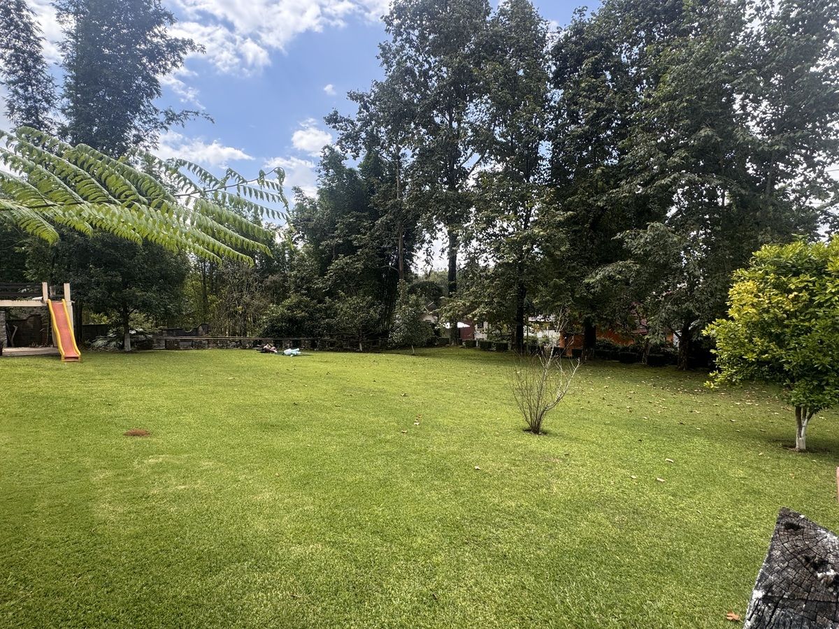 2 de 6