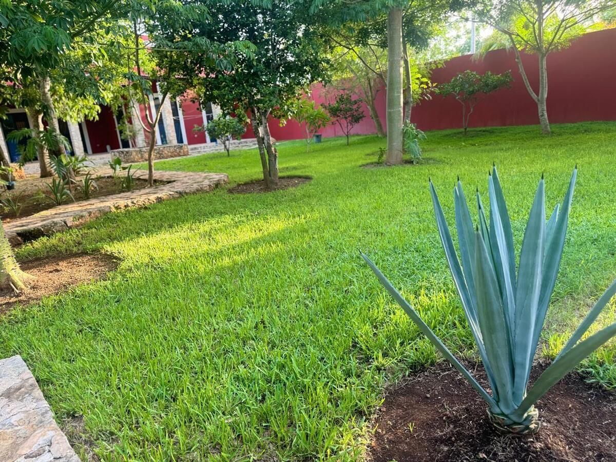 5 de 12