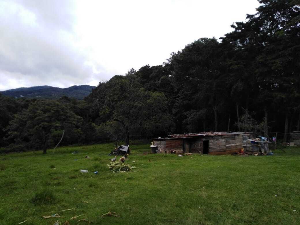 2 de 12