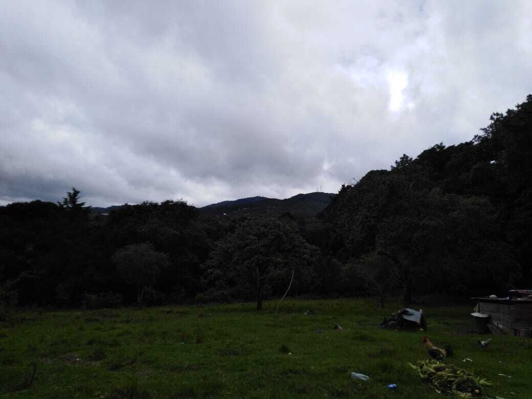 4 de 12