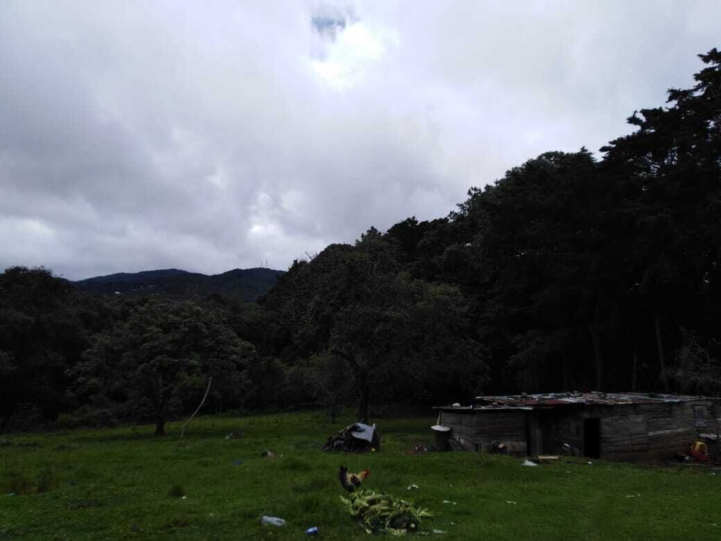 5 de 12