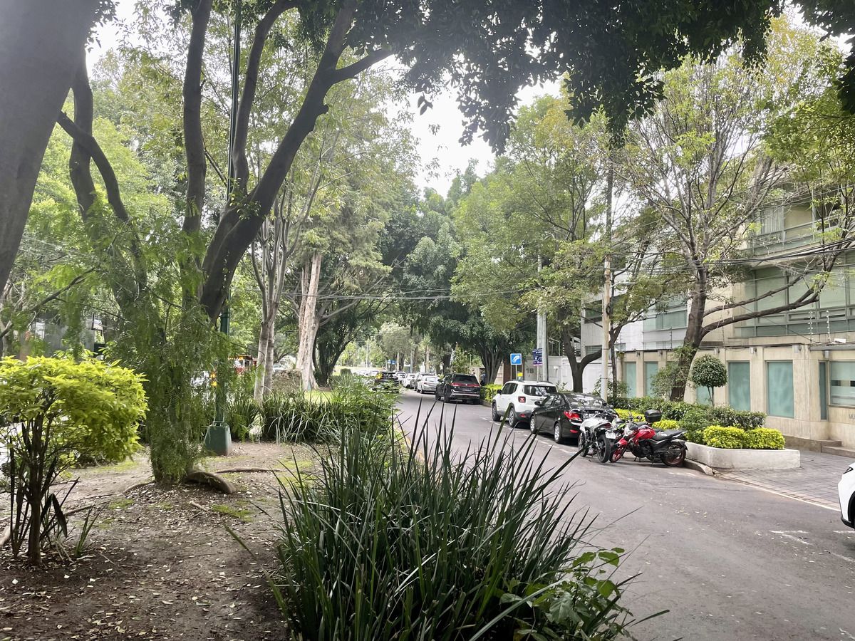 15 de 15