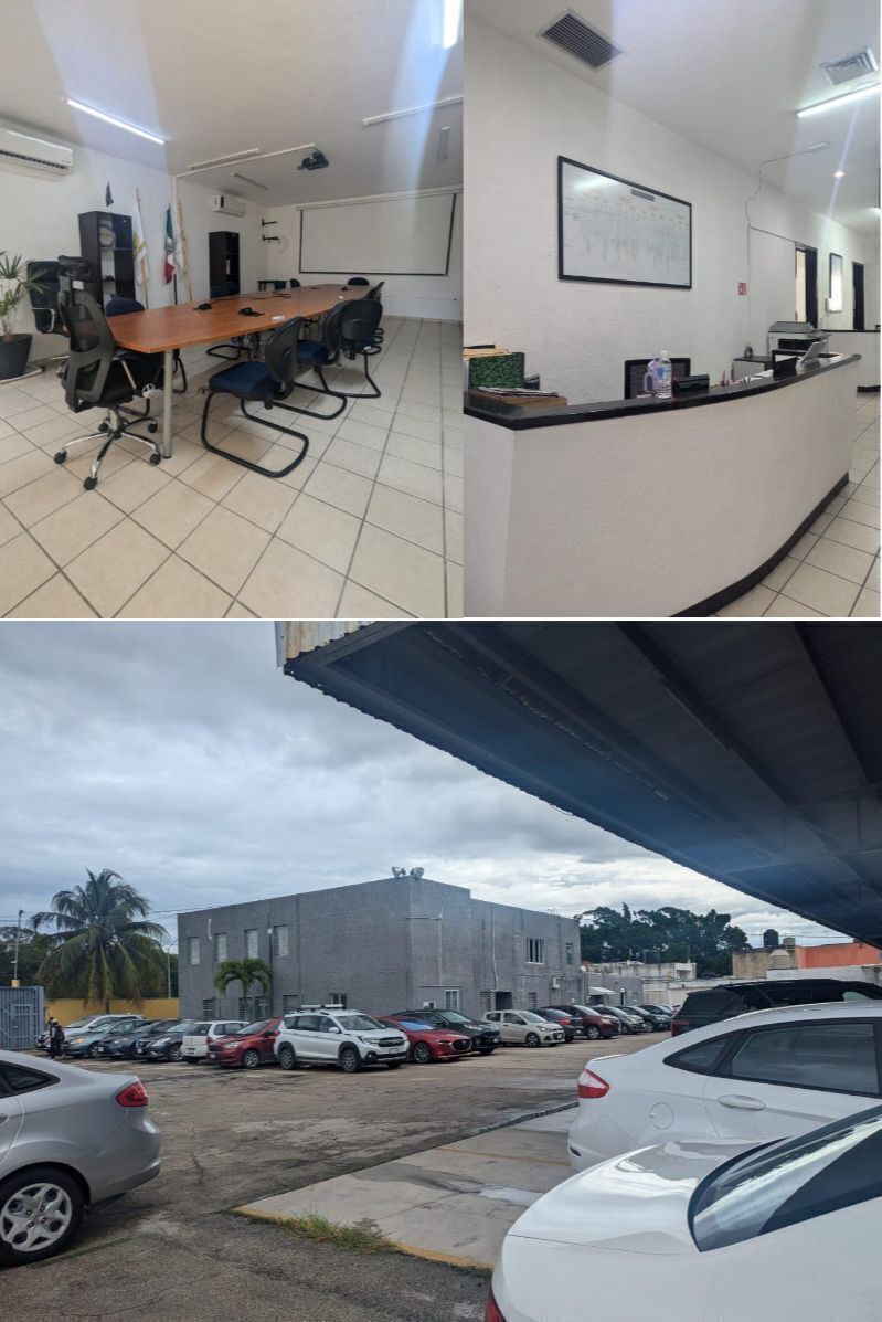 3 de 13