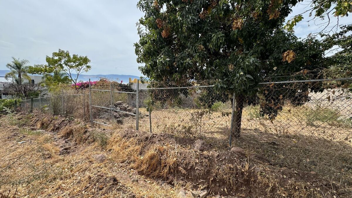 3 de 8: Terreno en San Juan Cosalá