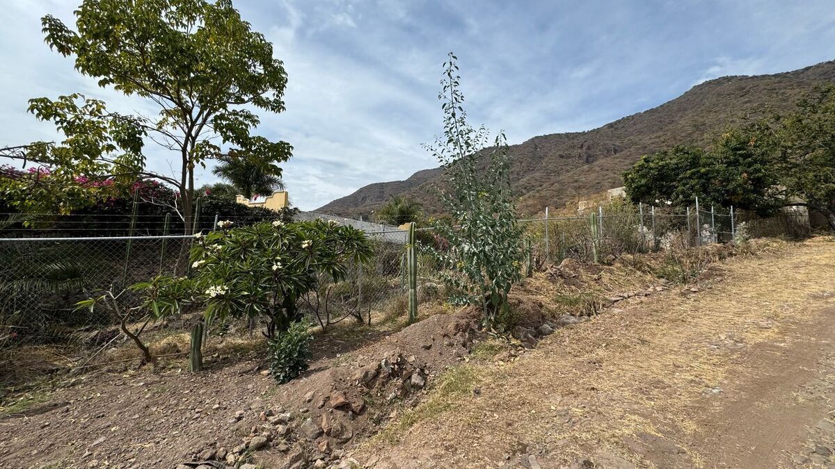 4 de 8: Terreno en San Juan Cosalá