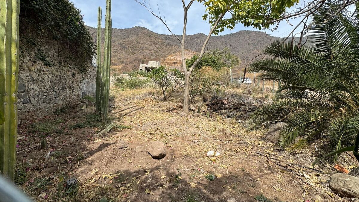 5 de 8: Terreno en San Juan Cosalá