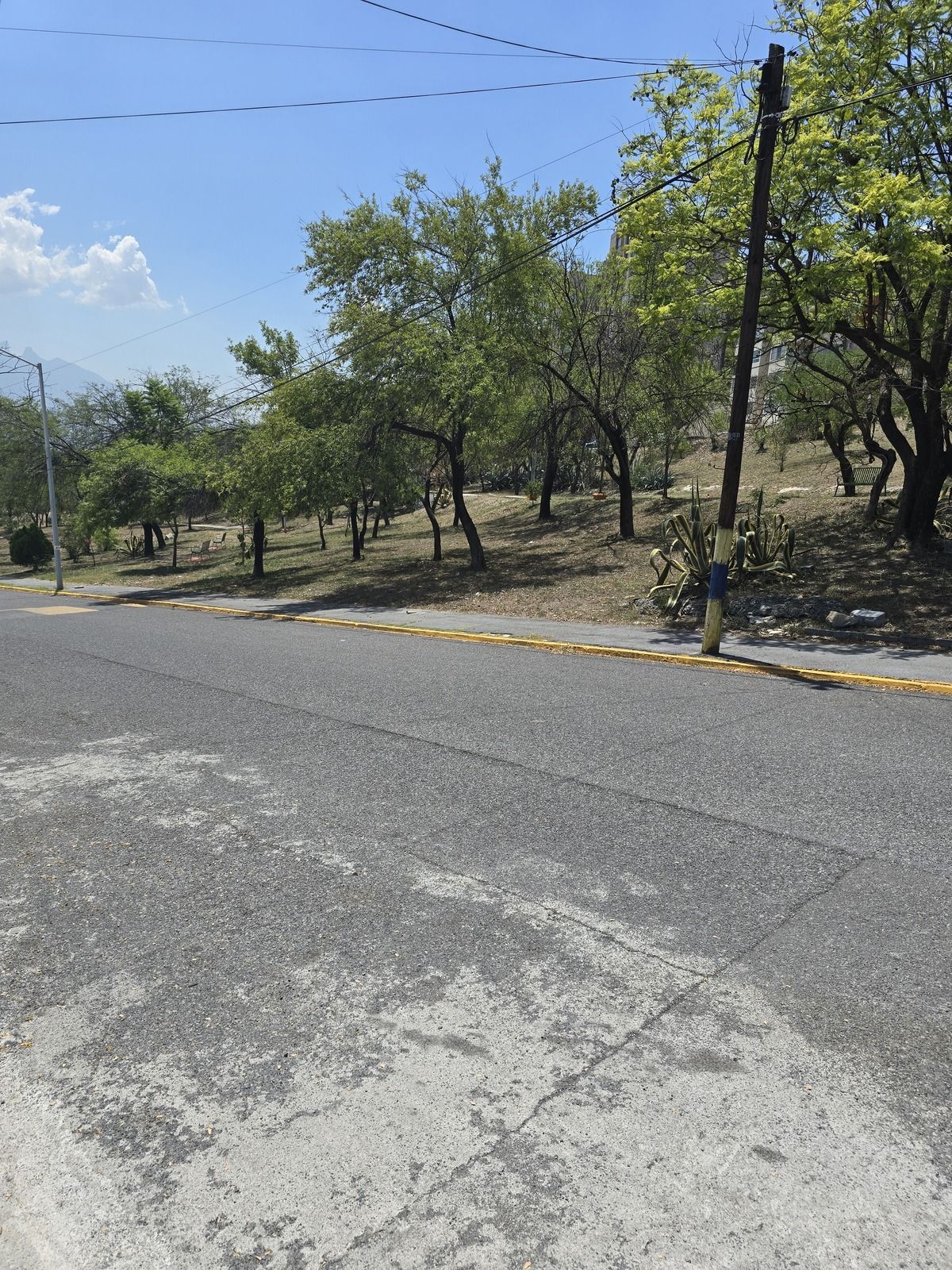 3 de 19
