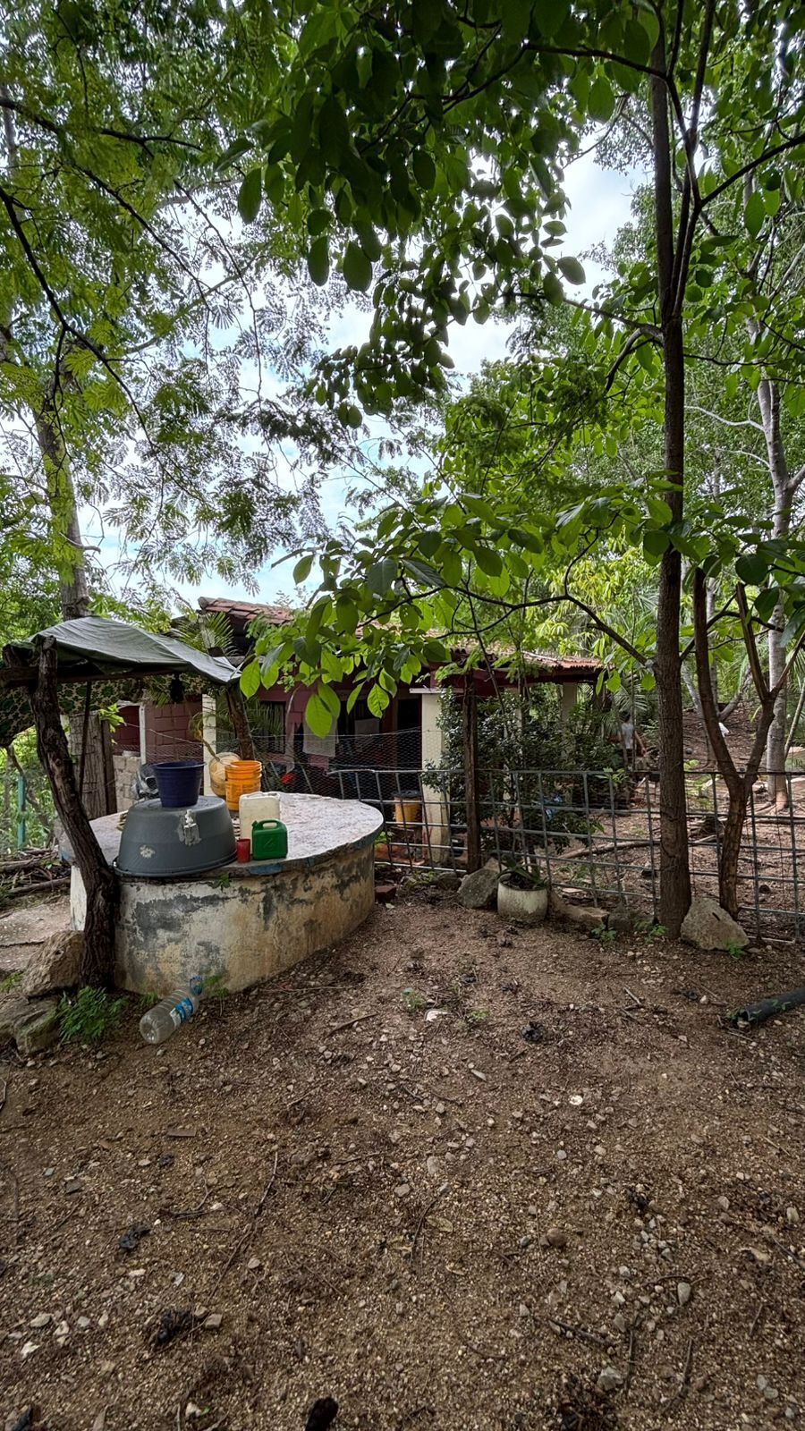 10 de 17