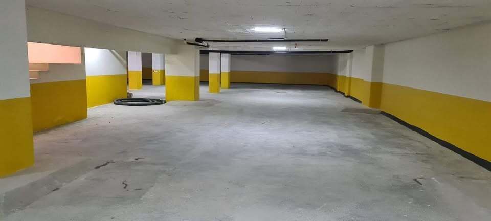 5 de 12