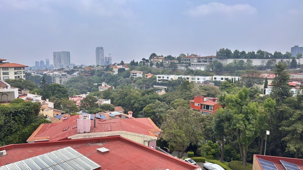19 de 19