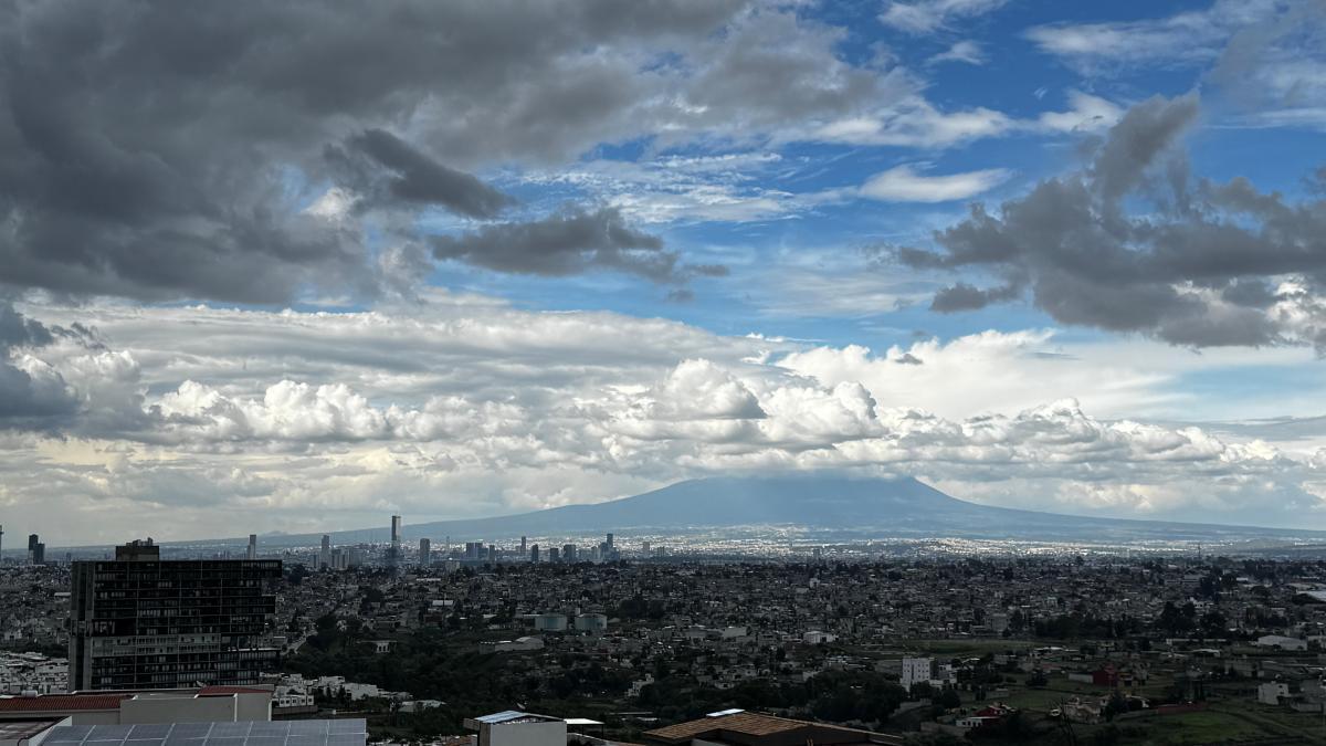 25 de 25