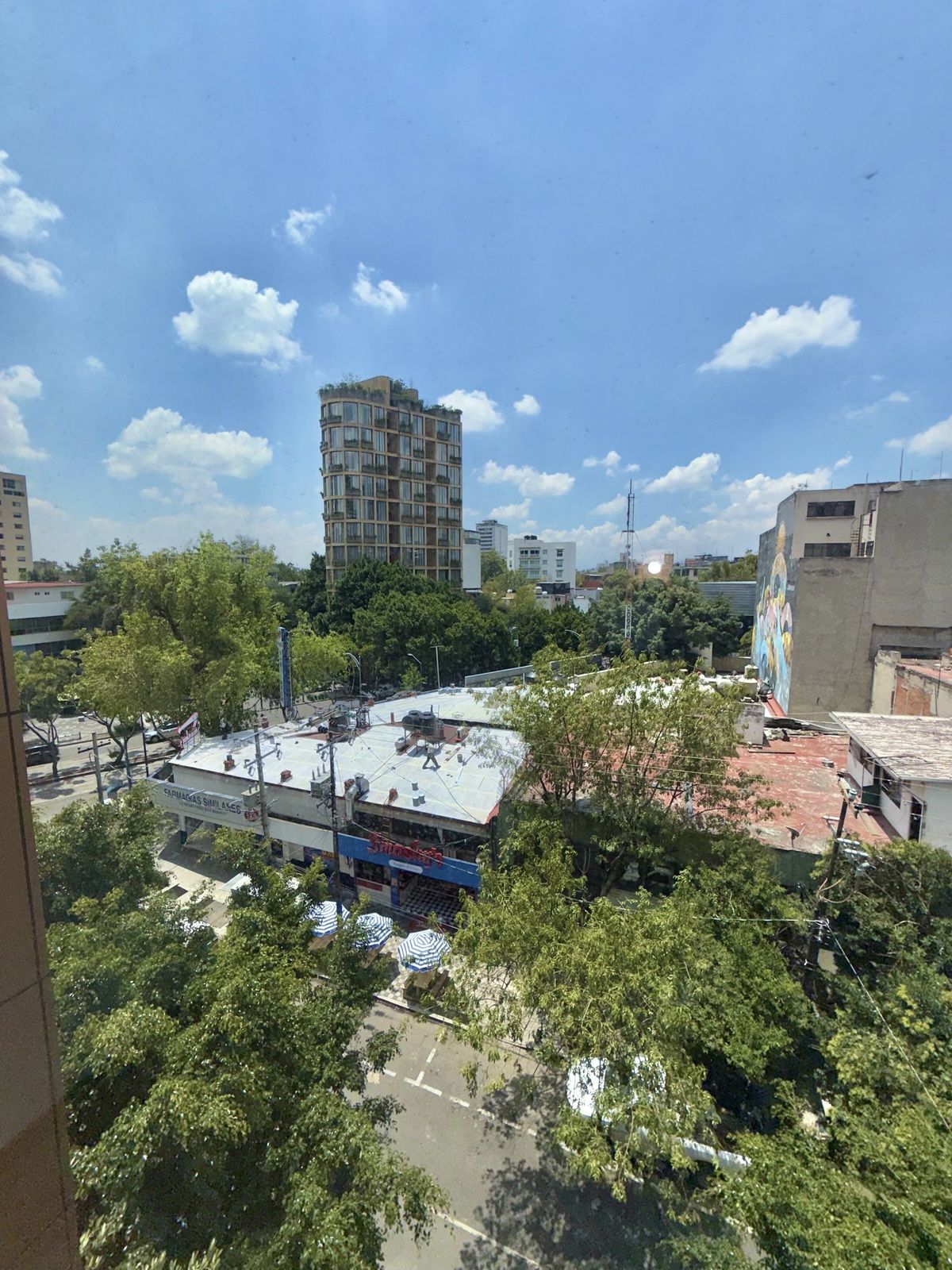 4 de 14